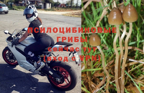 MDMA Гусь-Хрустальный
